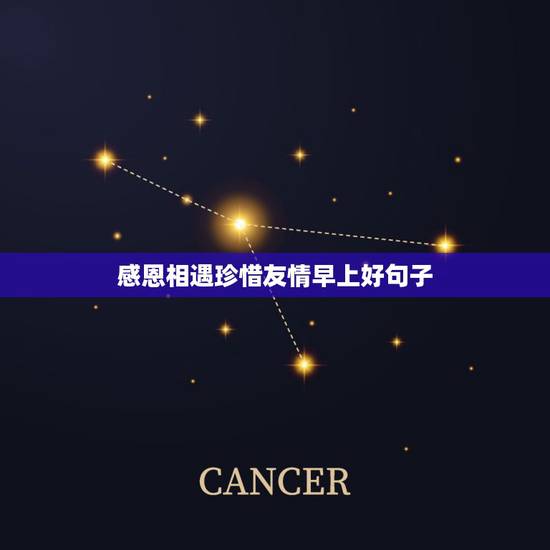 感恩相遇珍惜友情早上好句子，感恩相遇，不负遇见+友情句子