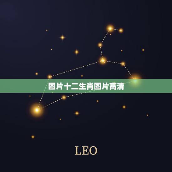 图片十二生肖图片高清,十二生肖的正确排动物图片 图片十二生肖图片高清,十二生肖的正确排动物图片