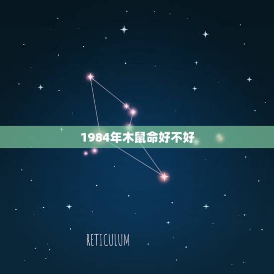 1984年木鼠命好不好，1984年属鼠的在金，木，水，火，土中属哪种？