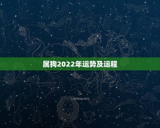 属狗2022年运势及运程，82年属狗人三大坎