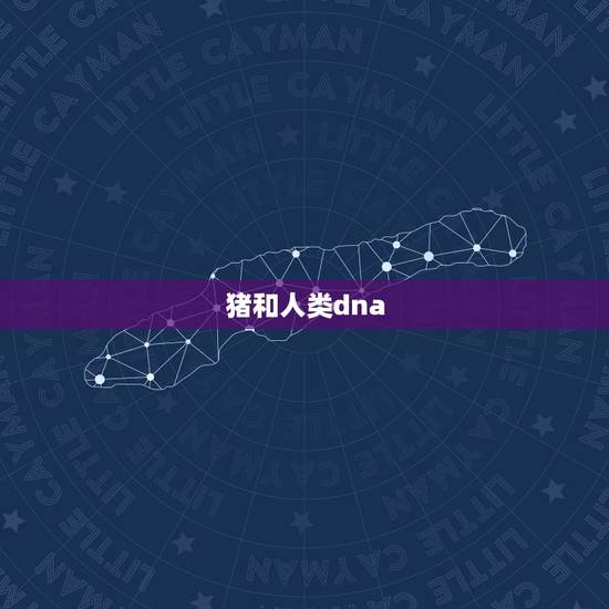 猪和人类dna,女子怀了猪的孩子 猪和人类dna,女子怀了猪的孩子