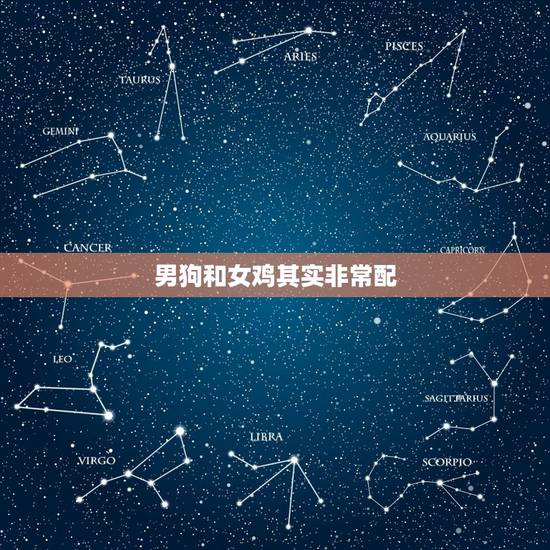 男狗和女鸡其实非常配，94年女鸡 跟93年男狗 配不配 和不和