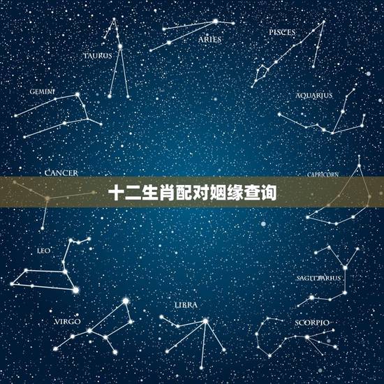 十二生肖配对姻缘查询,12生肖最佳姻缘配对表 十二生肖配对姻缘查询,12生肖最佳姻缘配对表