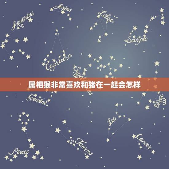 属相猴非常喜欢和猪在一起会怎样，属猪的和属猴的在一起适合吗？