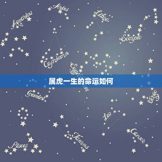 属虎一生的命运如何，属虎一生三大劫难