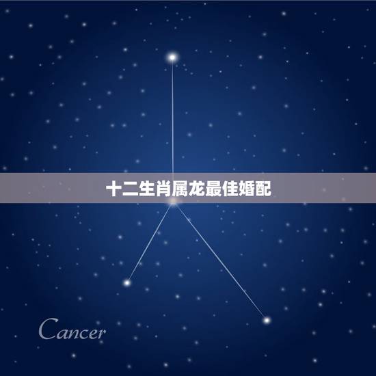 十二生肖属龙最佳婚配，属龙的属相婚配表