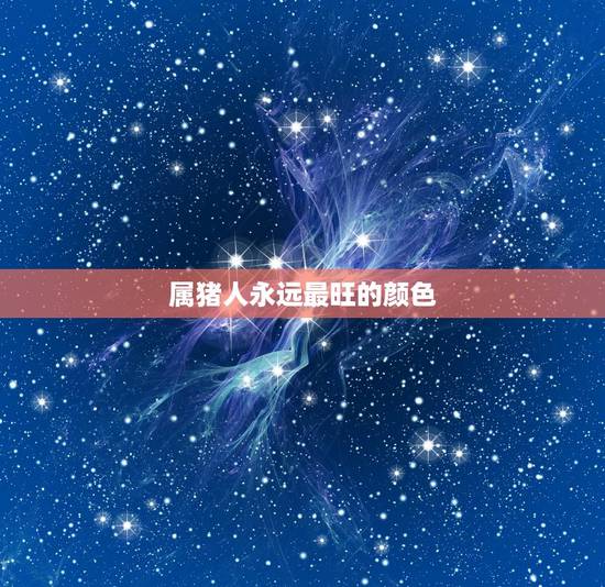 属猪人永远最旺的颜色,几月出生的猪最有福气 属猪人永远最旺的颜色,几月出生的猪最有福气