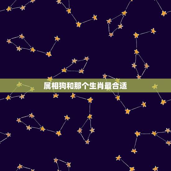 属相狗和那个生肖最合适,属狗的人和什么属相相配最好 属相狗和那个生肖最合适,属狗的人和什么属相相配最好