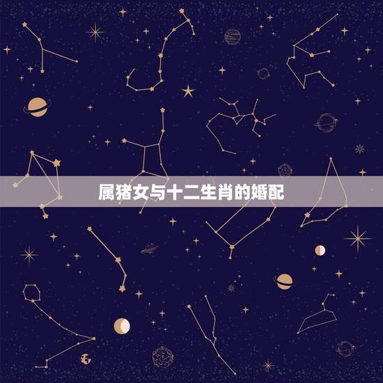 属猪女与十二生肖的婚配，属猪的女孩和什么属相婚配最好