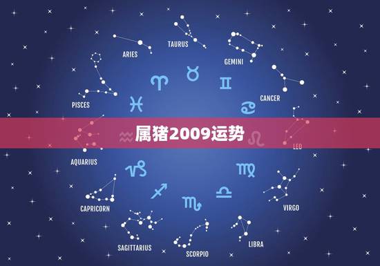 属猪2009运势,2010年属猪人的运势? 属猪2009运势,2010年属猪人的运势?