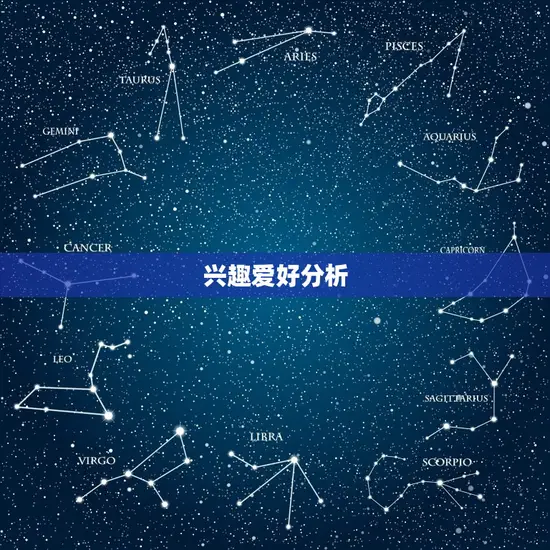 兴趣爱好分析 兴趣爱好分析