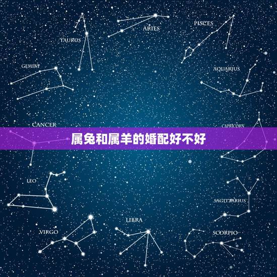 属兔和属羊的婚配好不好,属相婚配:男属兔和女属羊相配吗 属兔和属羊的婚配好不好,属相婚配:男属兔和女属羊相配吗