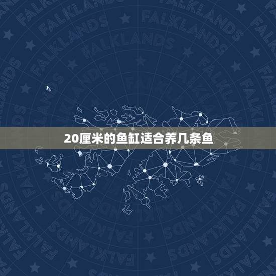 20厘米的鱼缸适合养几条鱼，直径20厘米高23厘米的鱼缸最多能养几条小