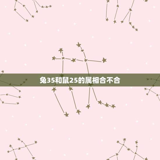 兔35和鼠25的属相合不合,属兔的和属鼠的合不合 兔35和鼠25的属相合不合,属兔的和属鼠的合不合