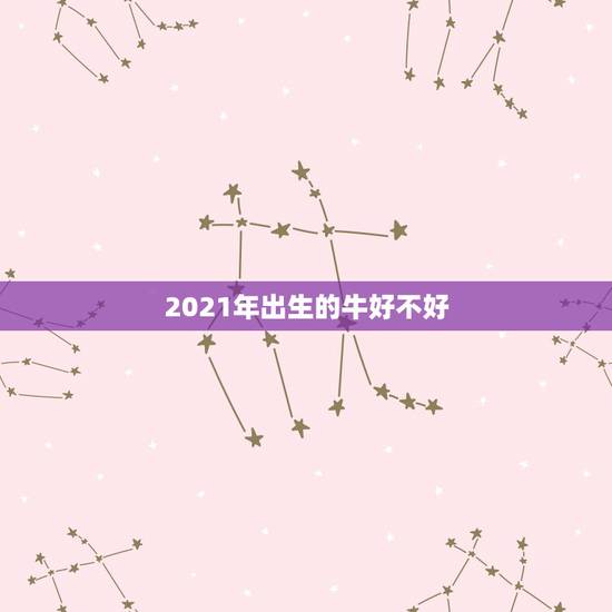 2021年出生的牛好不好，2021年出生的属牛的人命好吗？