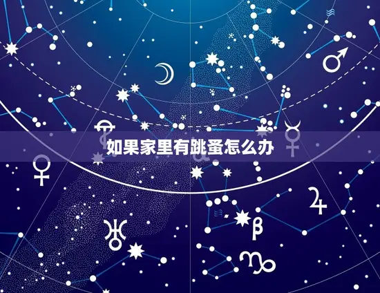 如果家里有跳蚤怎么办 如果家里有跳蚤怎么办