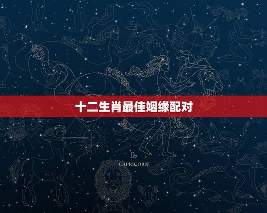 十二生肖最佳姻缘配对 十二生肖最佳婚配表