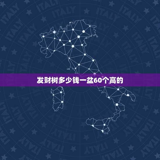 发财树多少钱一盆60个高的,发财树一棵多少钱 发财树多少钱一盆60个高的,发财树一棵多少钱