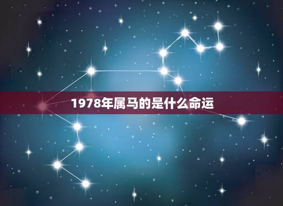 1978年属马的是什么命运，1978年属马人的命运 1978年出生是什