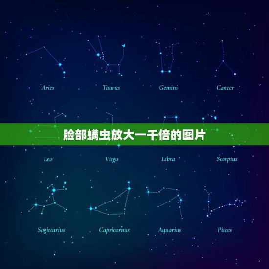 脸部螨虫放大一千倍的图片，“螨虫脸”的3个特征，你躺枪了吗？