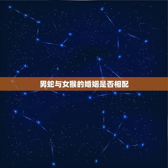 男蛇与女猴的婚姻是否相配,女猴和男蛇一点都不配 男蛇与女猴的婚姻是否相配,女猴和男蛇一点都不配