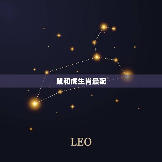 鼠和虎生肖最配，老鼠跟什么生肖合得来