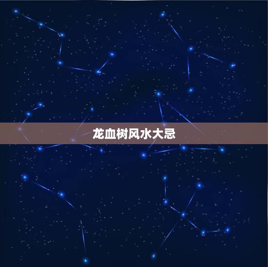 龙血树风水大忌,龙血树风水大忌. 龙血树风水大忌,龙血树风水大忌.