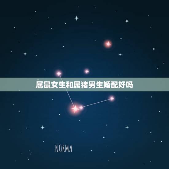属鼠女生和属猪男生婚配好吗，属猪男和属鼠女在一起好吗？