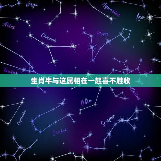 生肖牛与这属相在一起喜不胜收，属牛和什么属相相冲