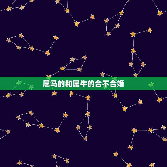属马的和属牛的合不合婚，属牛与属马搭档
