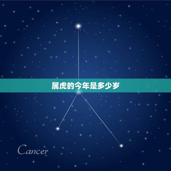 属虎的今年是多少岁，属虎的今年多大了？