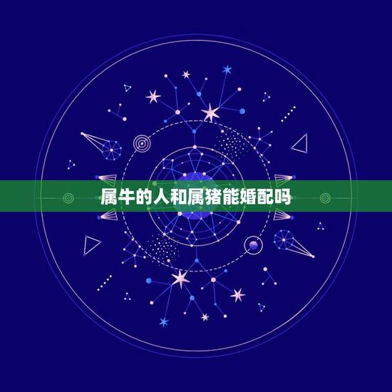 属牛的人和属猪能婚配吗,属牛和属猪的结婚好吗? 属牛的人和属猪能婚配吗,属牛和属猪的结婚好吗?
