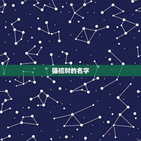 猫招财的名字,给主人带来好运的猫名字 猫招财的名字,给主人带来好运的猫名字