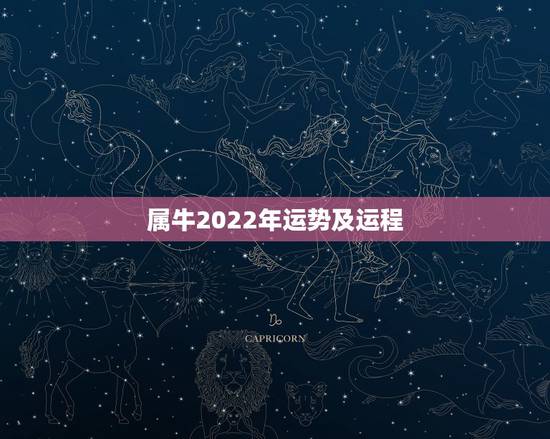 属牛2022年运势及运程，2022年属牛的全年运势