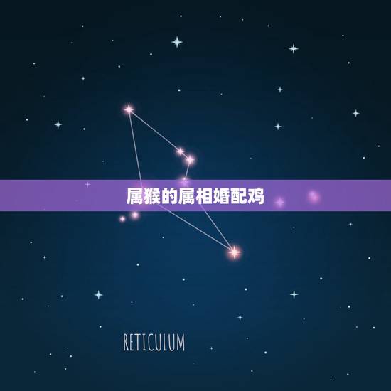 属猴的属相婚配鸡,属猴的和属鸡的结婚好吗? 属猴的属相婚配鸡,属猴的和属鸡的结婚好吗?