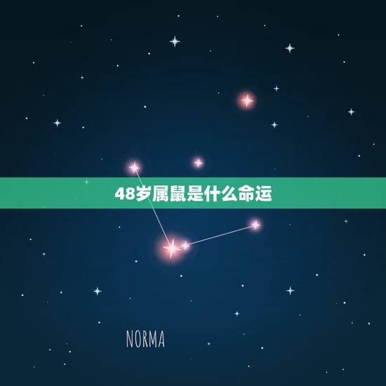 48岁属鼠是什么命运，72属鼠女人的后半生