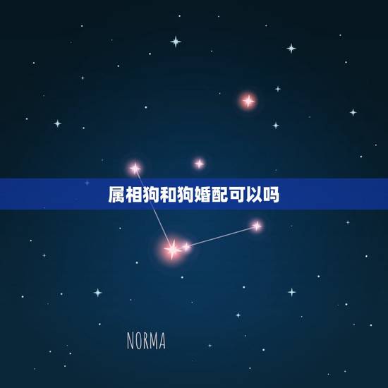 属相狗和狗婚配可以吗,属狗的男人能不能和属狗的女人婚配? 属相狗和狗婚配可以吗,属狗的男人能不能和属狗的女人婚配?