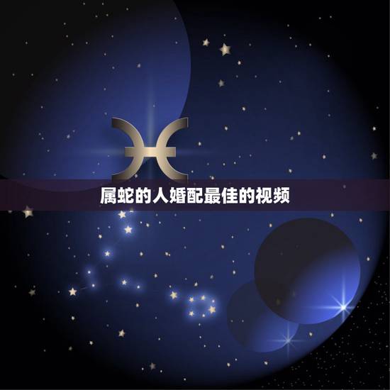 属蛇的人婚配最佳的视频,属蛇的配什么最好 属蛇的人婚配最佳的视频,属蛇的配什么最好