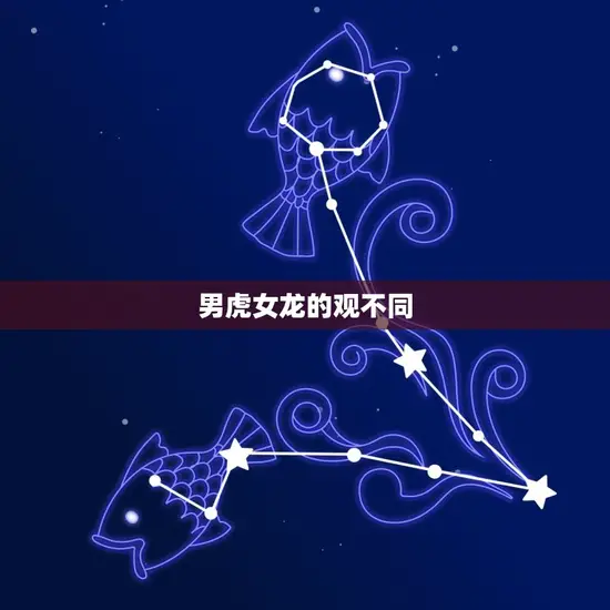 男虎女龙的观不同 男虎女龙的观不同