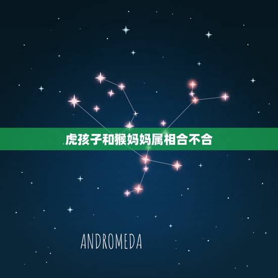 虎孩子和猴妈妈属相合不合，属猴的儿子和属虎的妈妈会怎样