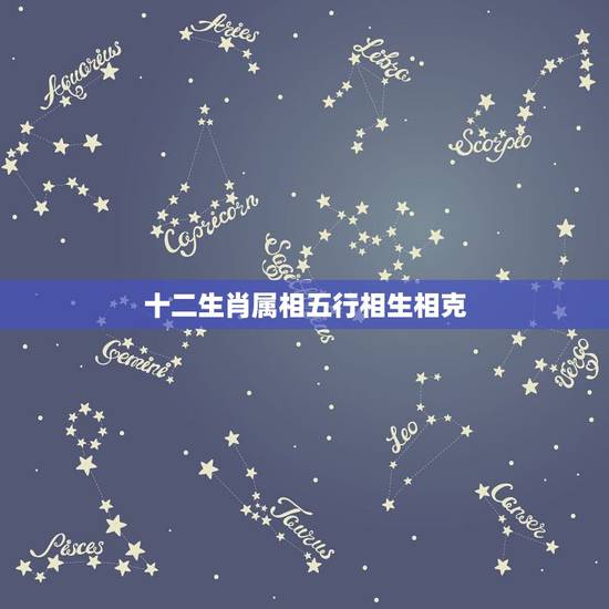 十二生肖属相五行相生相克,12生肖什么动物属火 十二生肖属相五行相生相克,12生肖什么动物属火