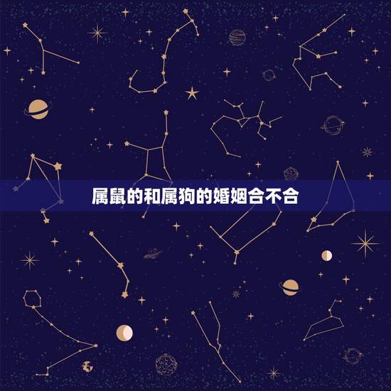 属鼠的和属狗的婚姻合不合,女鼠的和男狗的婚姻合不合 属鼠的和属狗的婚姻合不合,女鼠的和男狗的婚姻合不合