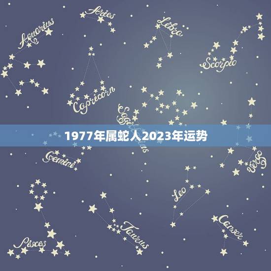 1977年属蛇人2023年运势，属蛇2023年运势及运程每月运程