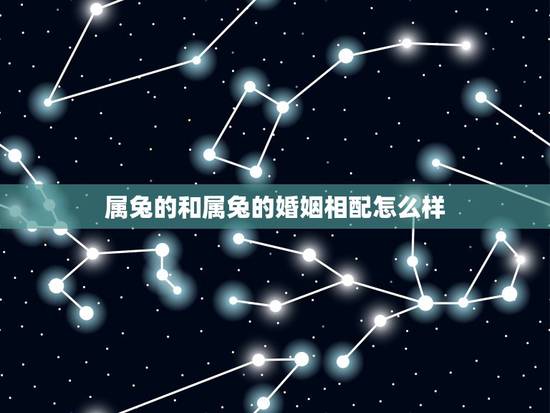 属兔的和属兔的婚姻相配怎么样,兔和兔合不合适婚姻 属兔的和属兔的婚姻相配怎么样,兔和兔合不合适婚姻