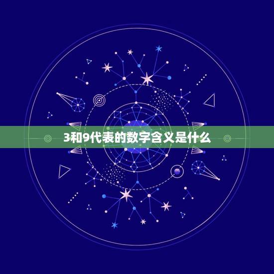 3和9代表的数字含义是什么，数字9代表什么