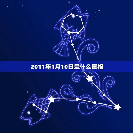 2011年1月10日是什么属相,09年1月10日出生,属什么?牛还是老 2011年1月10日是什么属相,09年1月10日出生,属什么?牛还是老