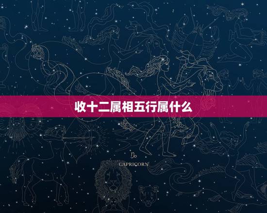 收十二属相五行属什么,12属相金木水火土对照表 收十二属相五行属什么,12属相金木水火土对照表