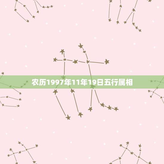 农历1997年11年19日五行属相,我是97年的属牛,不知道我在五行金 农历1997年11年19日五行属相,我是97年的属牛,不知道我在五行金