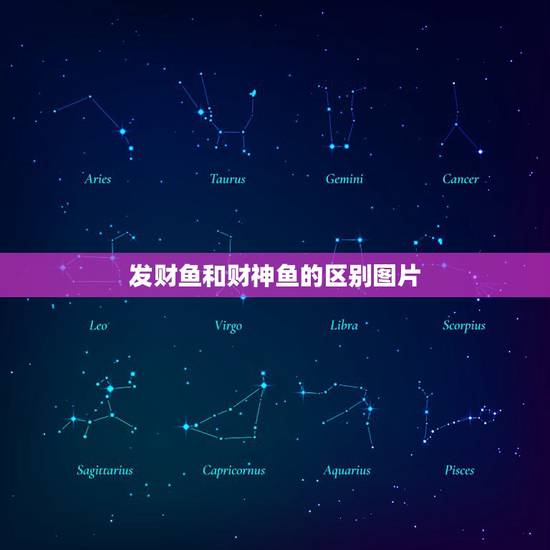 发财鱼和财神鱼的区别图片，标准发财鱼长什么样