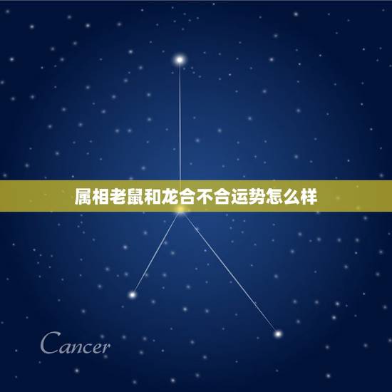 属相老鼠和龙合不合运势怎么样，男属鼠与女属龙相配吗？